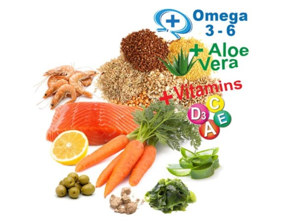 ALIMENTO PRODAC GOLDFISH PREMIUM 50 GR 3