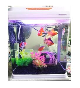 MINI ACUARIO CURVO MOD. T-290F DE 17L SOBO - COMPLETO - Imagen 9