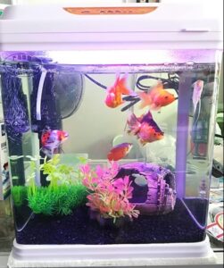 MINI ACUARIO CURVO MOD. T-290F DE 17L SOBO - Imagen 5