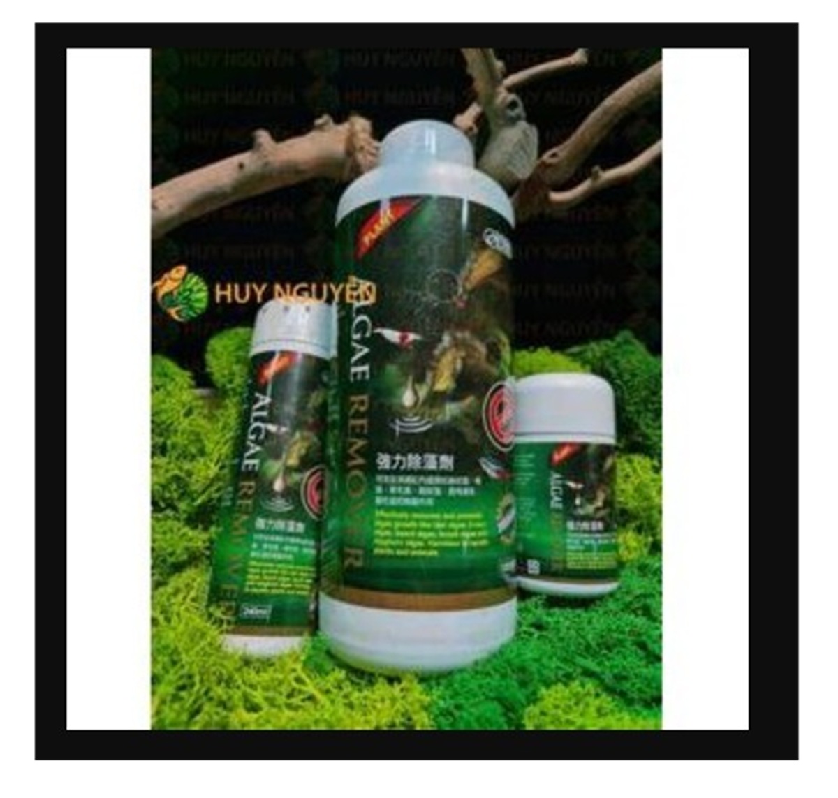 LIQUIDOS REMOVEDOR DE ALGAS OISTA 1L 4