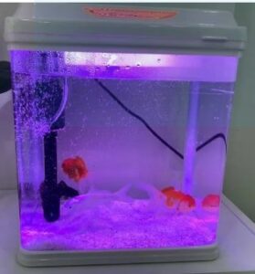 MINI ACUARIO CURVO MOD. T-290F DE 17L SOBO - Imagen 4