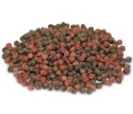 Alimento De Goldfish Coldwater Granules o Pellet Prodac Pote de 100 gr - Imagen 2