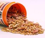 Alimento Para Tortugas Jbl Premium Camarones y Sticks 1000 Ml (120gr) POTE SELLADO - Imagen 6