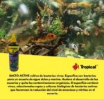Bio Bacterias Bacto Active Tropical 250 Ml Peces Pez Acuario - Imagen 3