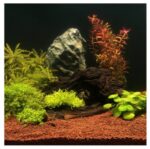 SUSTRATO MANADO MINERAL DE 10 L JBL, PARA ACUARIOS PLANTADOS - AQUASCAPING - Imagen 4
