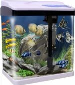 MINI ACUARIO CURVO MOD.T-720F DE 15L MARCA SOBO - Imagen 3