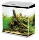ACUARIO CURVO MOD. SO-600F DE 70L SOBO CON FILTRACION TAPA Y LUZ