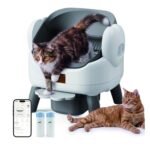 Arenero Litera Automático Gatos Escalón Contenedor De 10l - Imagen 10