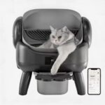 Arenero Litera Automático Gatos Escalón Contenedor De 10l