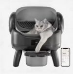 Arenero Litera Automático Gatos Escalón Contenedor De 10l