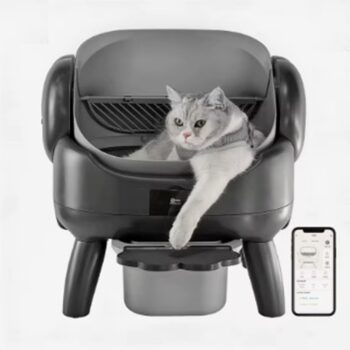 Arenero Litera Automático Gatos Escalón Contenedor De 10l